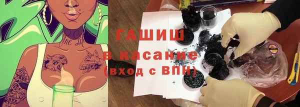 гидра Арсеньев
