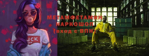 прущие грибы Аркадак